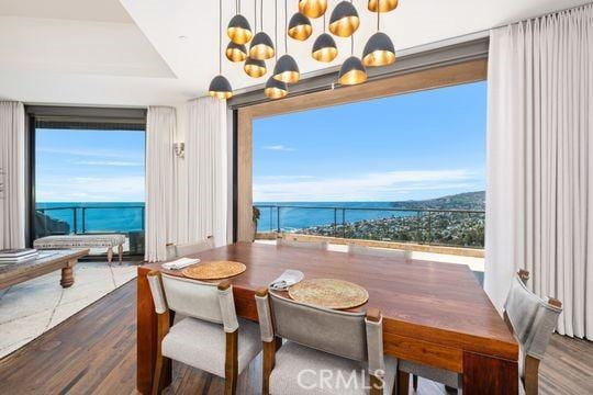 dining room featuring plenty of natural light, a raised ceiling, wood finished floors, and a water view