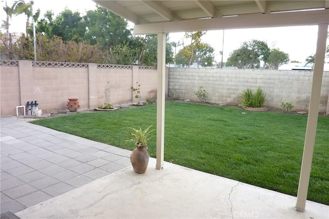 view of yard with a patio area and a fenced backyard