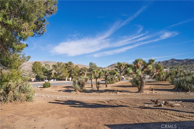 view of yard featuring a mountain view