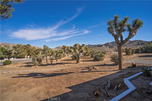 view of yard with a mountain view