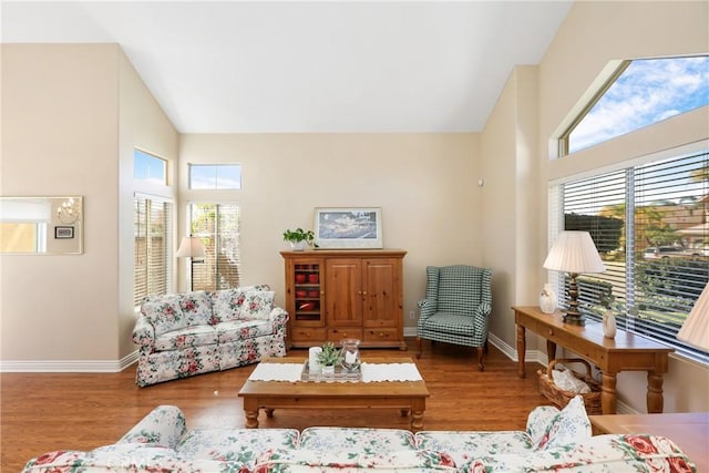 living area with a healthy amount of sunlight, baseboards, and wood finished floors