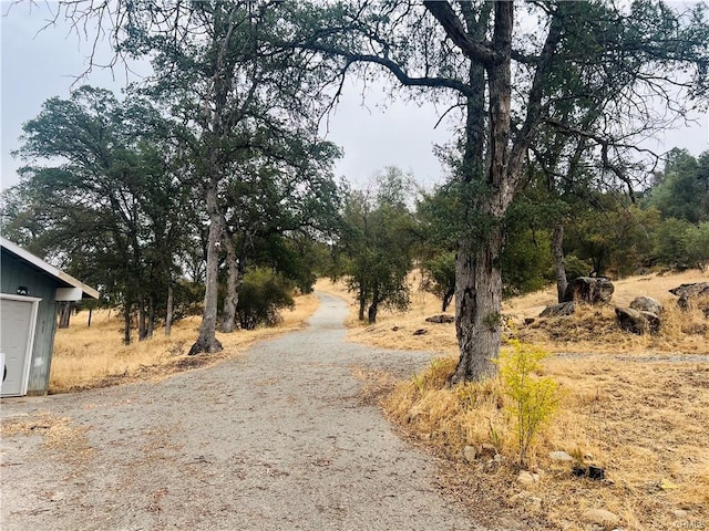 31578 Rd 400, Coarsegold, CA 93614 - photo 13