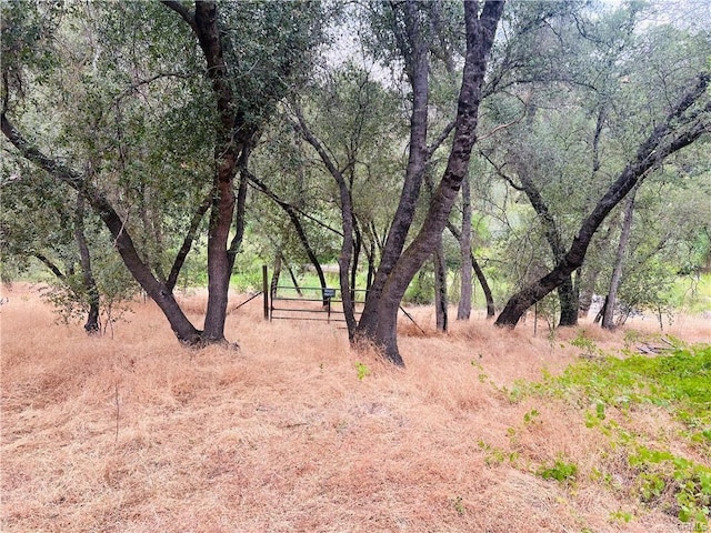 31578 Rd 400, Coarsegold, CA 93614 - photo 11