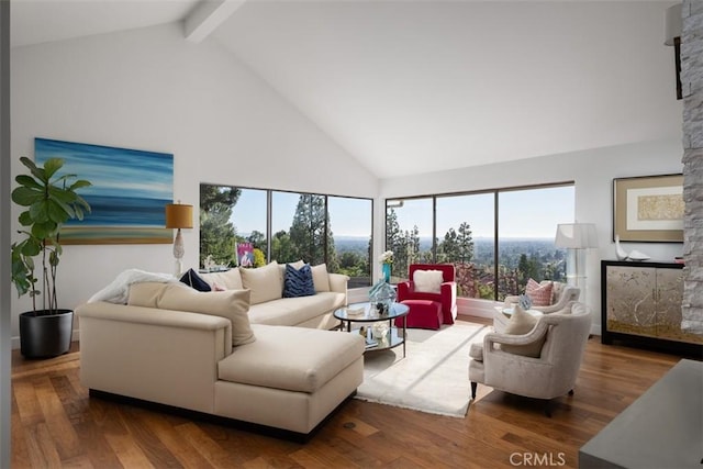 10831 Hideaway Dr, North Tustin, CA 92705 - living area with a stone fireplace, wood finished floors, high vaulted ceiling, and beamed ceiling