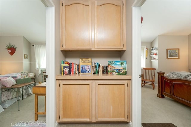 23 Landing, Laguna Niguel, CA 92677 - bar area with light carpet