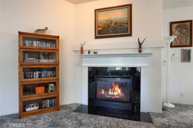 room details with carpet and a fireplace