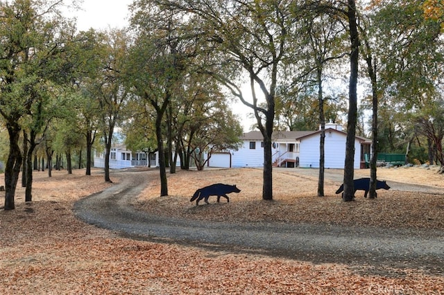 view of yard with a garage