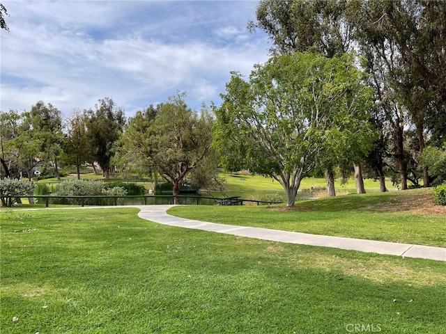 view of property's community featuring a yard