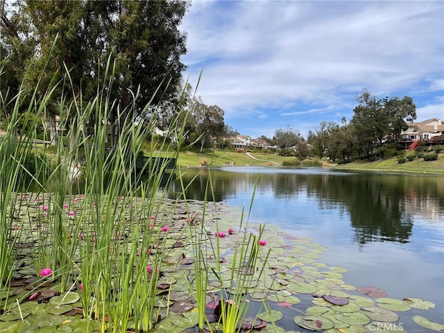 water view