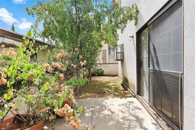 view of yard featuring a patio