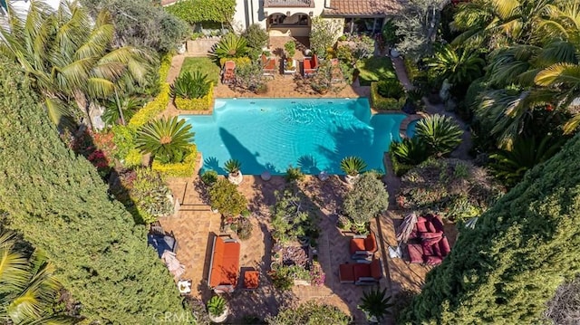 bird's eye view