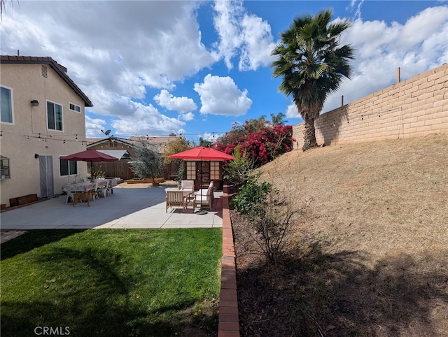 view of yard featuring a patio and a fenced backyard