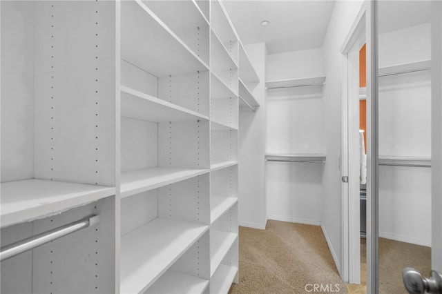 walk in closet featuring light carpet