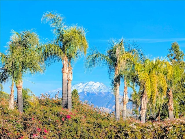 property view of water with a mountain view