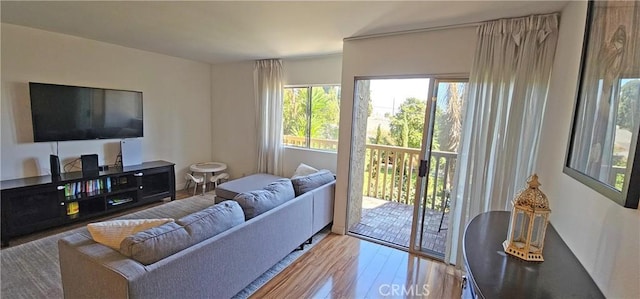 living room featuring wood finished floors