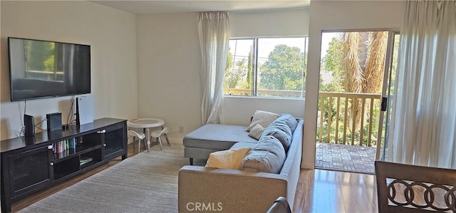 living area with wood finished floors