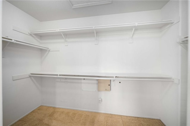 spacious closet featuring carpet floors