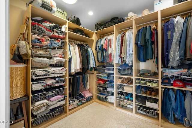 view of spacious closet