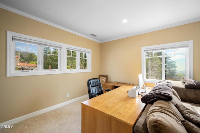 office space with ornamental molding, carpet flooring, a healthy amount of sunlight, and baseboards