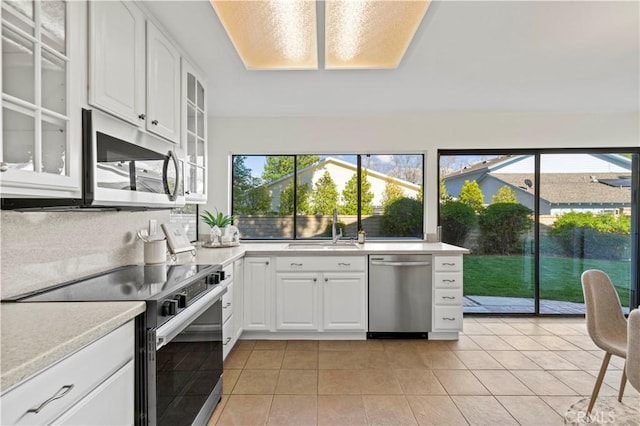 kitchen featuring a sink, glass insert cabinets, a wealth of natural light, and stainless steel appliances