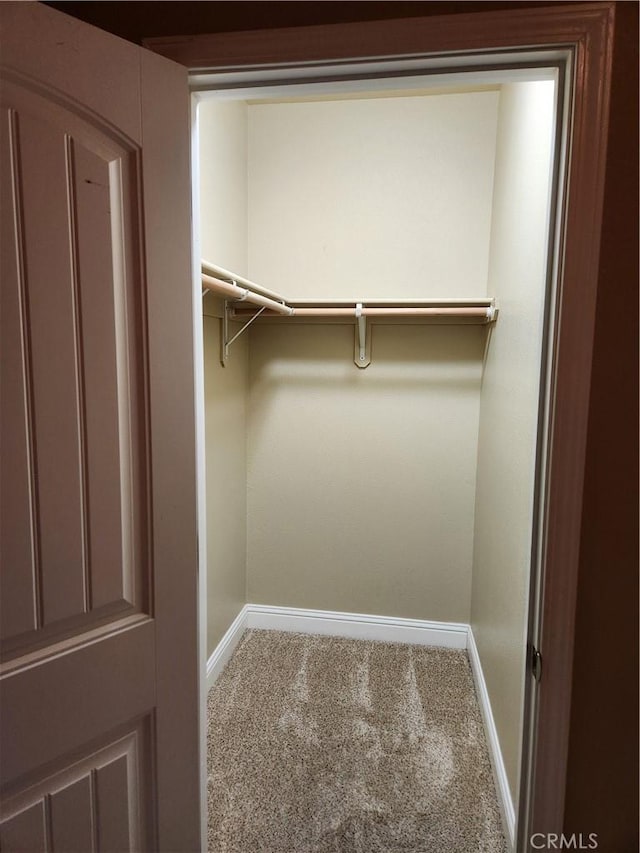 walk in closet featuring carpet