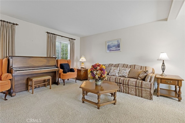 living room with carpet