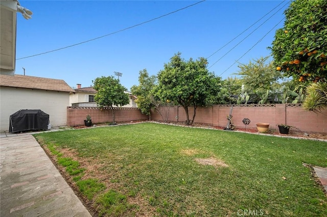 view of yard featuring a fenced backyard