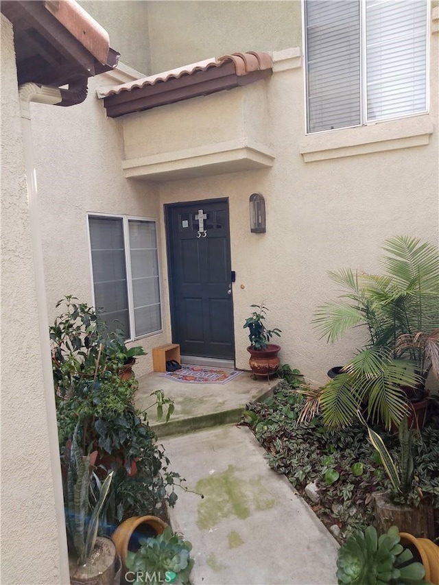 doorway to property with a tile roof and stucco siding