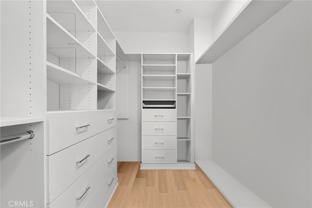 walk in closet with light wood finished floors