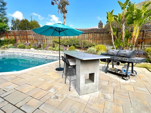 view of pool with a fenced in pool, a patio area, a fenced backyard, and area for grilling