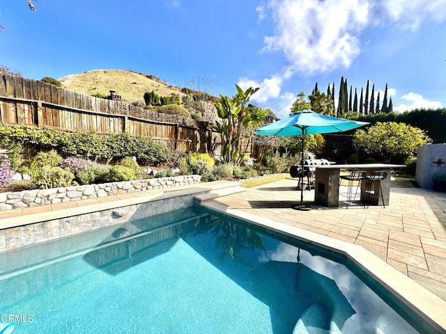 view of pool with a fenced in pool, a fenced backyard, a patio, and outdoor dry bar