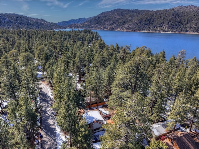 drone / aerial view with a wooded view and a water and mountain view