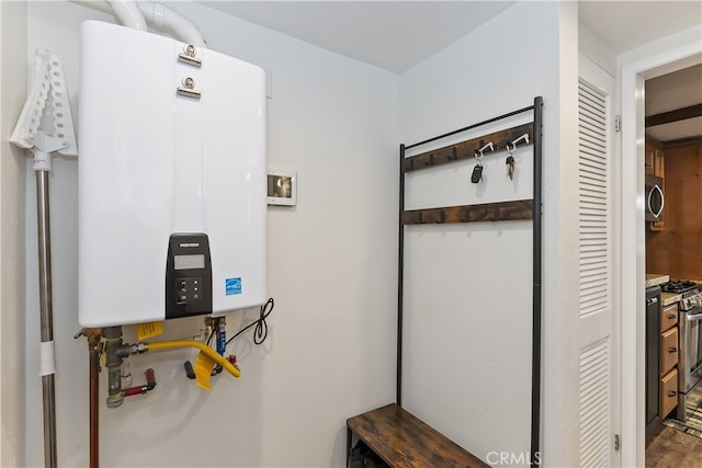 utilities featuring tankless water heater