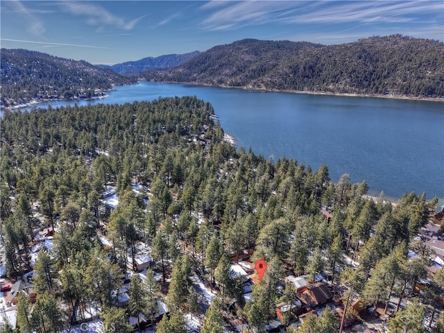 birds eye view of property with a forest view and a water and mountain view