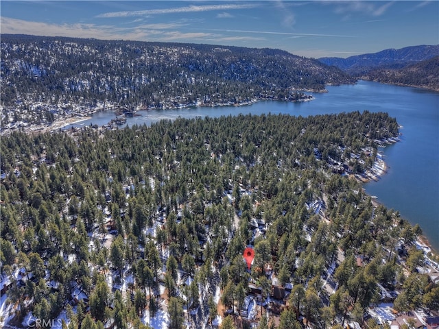 birds eye view of property featuring a water and mountain view and a view of trees