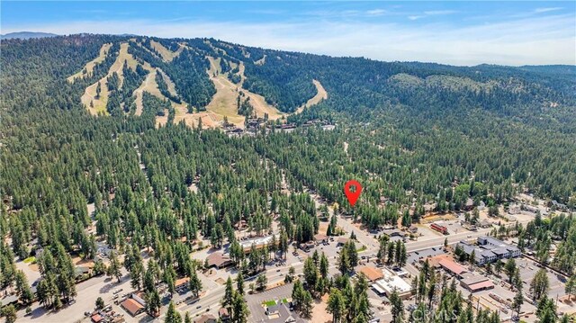 birds eye view of property featuring a forest view and a mountain view