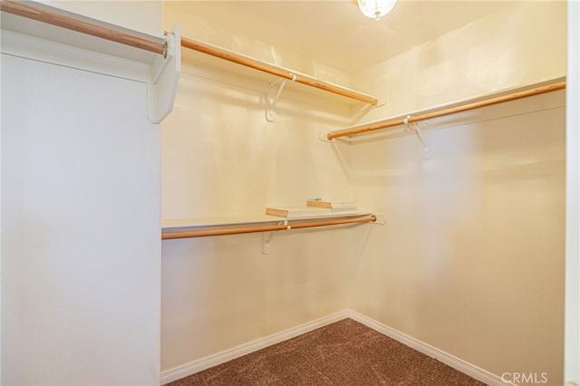 41445 Terrazzo Dr, Palmdale, CA 93551 - walk in closet with carpet