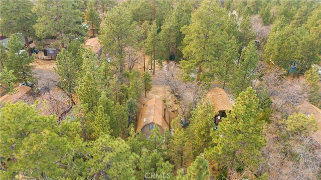 aerial view with a view of trees