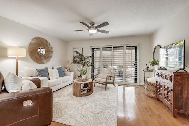 living area featuring ceiling fan and light wood finished floors