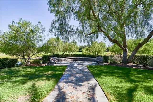 view of community featuring a lawn and a patio