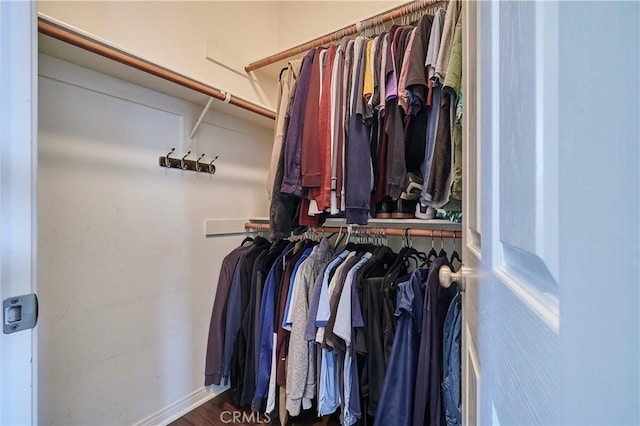 view of spacious closet