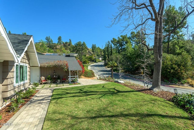 view of yard featuring a patio area