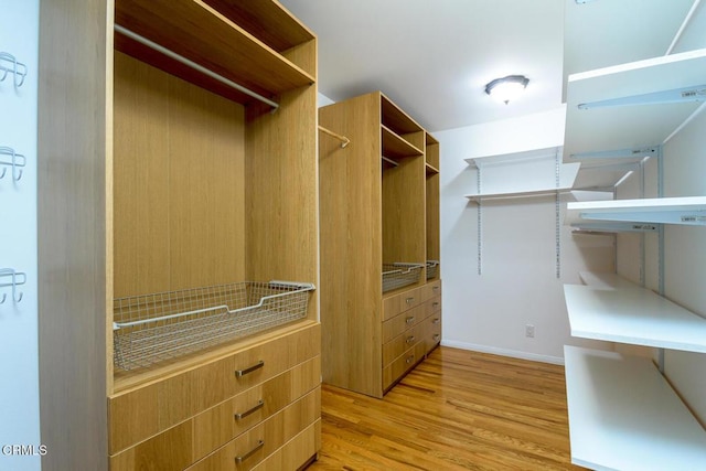 spacious closet with light wood finished floors