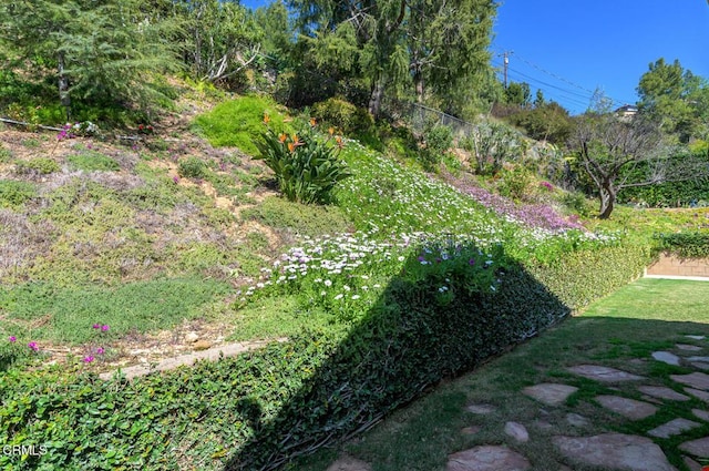 view of yard with fence