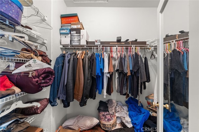 view of spacious closet