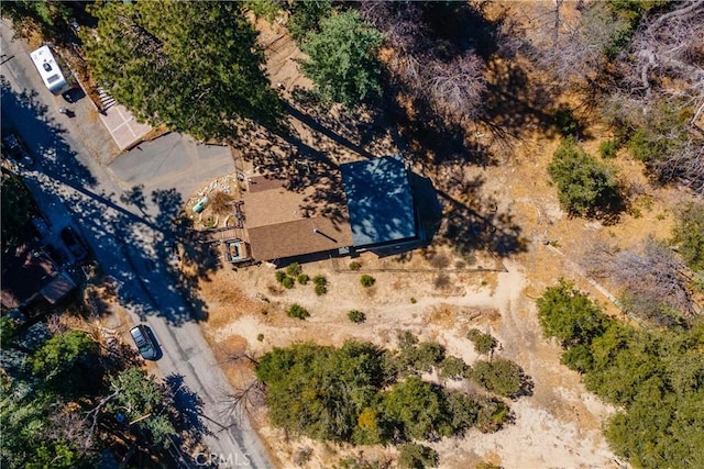 5958 Robin Oak Dr, Angelus Oaks, CA 92305 - photo 40