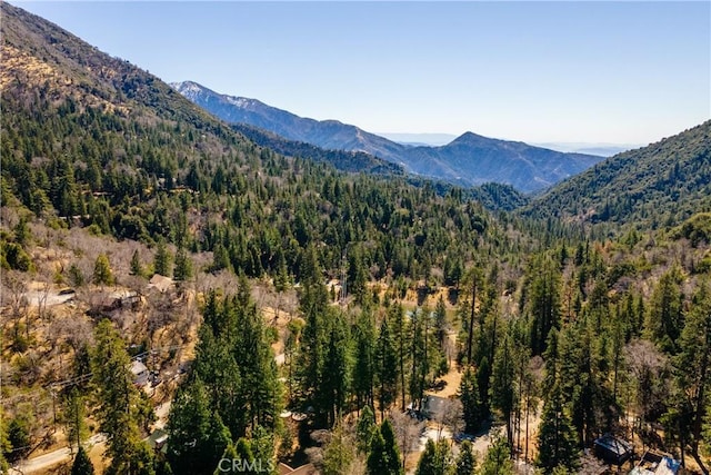 mountain view featuring a wooded view