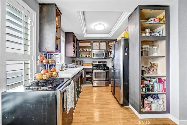 kitchen with a raised ceiling, appliances with stainless steel finishes, light countertops, light wood-style floors, and open shelves