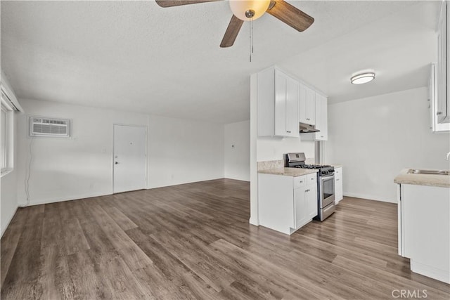 kitchen with under cabinet range hood, open floor plan, stainless steel range with gas stovetop, and wood finished floors