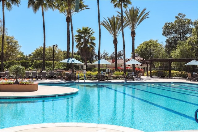 view of swimming pool with a patio area